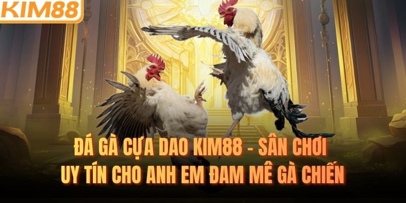 Đá Gà Cựa Dao KIM88 – Sân Chơi Uy Tín Cho Anh Em Đam Mê Gà Chiến
