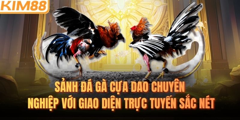 Sảnh đá gà cựa dao chuyên nghiệp với giao diện trực tuyến sắc nét