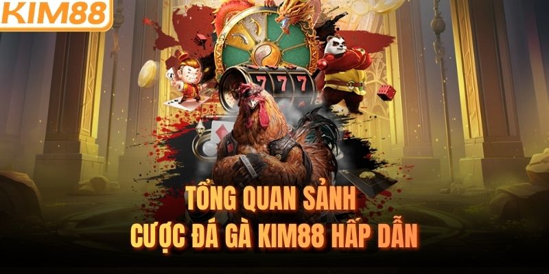 Tổng quan sảnh cược đá gà KIM88 hấp dẫn